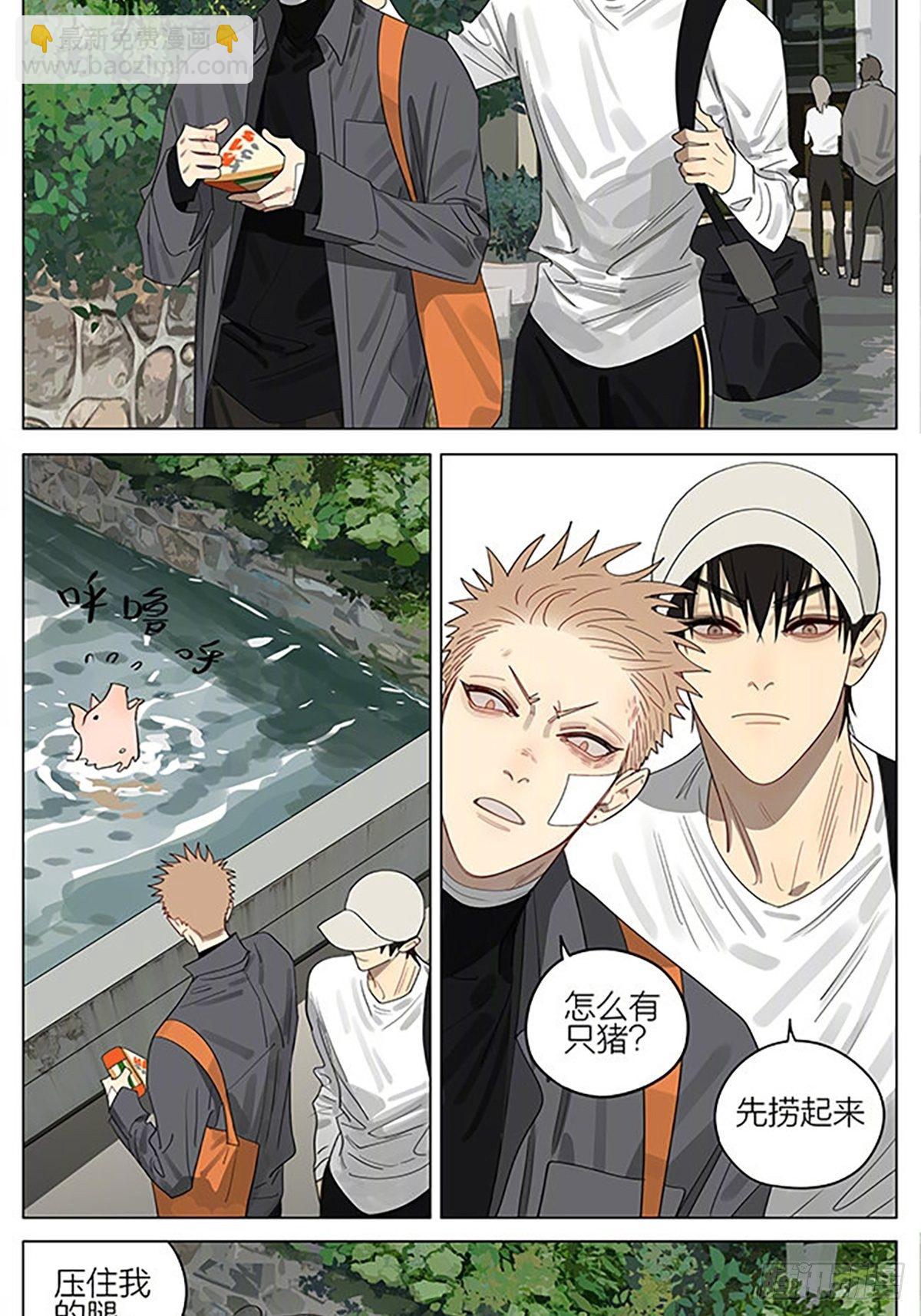 小猪-第385话