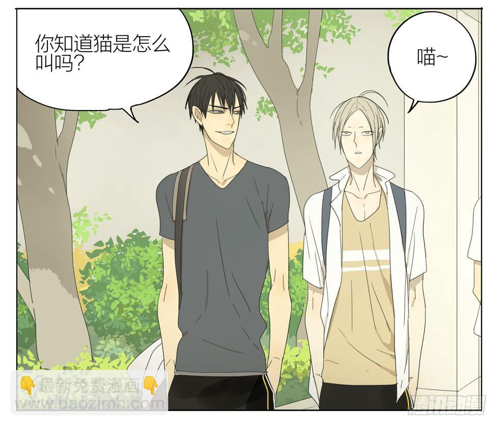 猫怎么叫-第87话