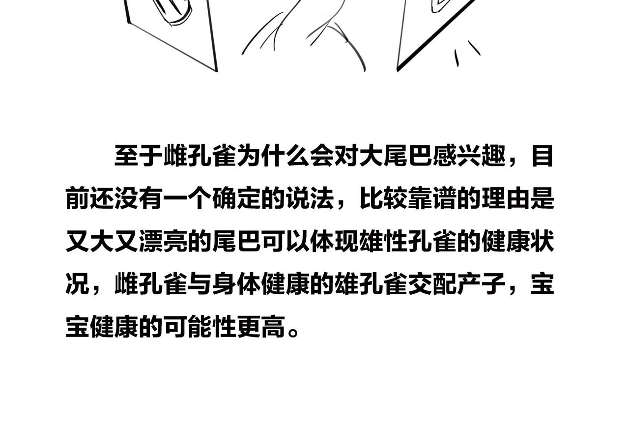 〓生命从不主动，进化只是妥协〓(1/2)-第101话