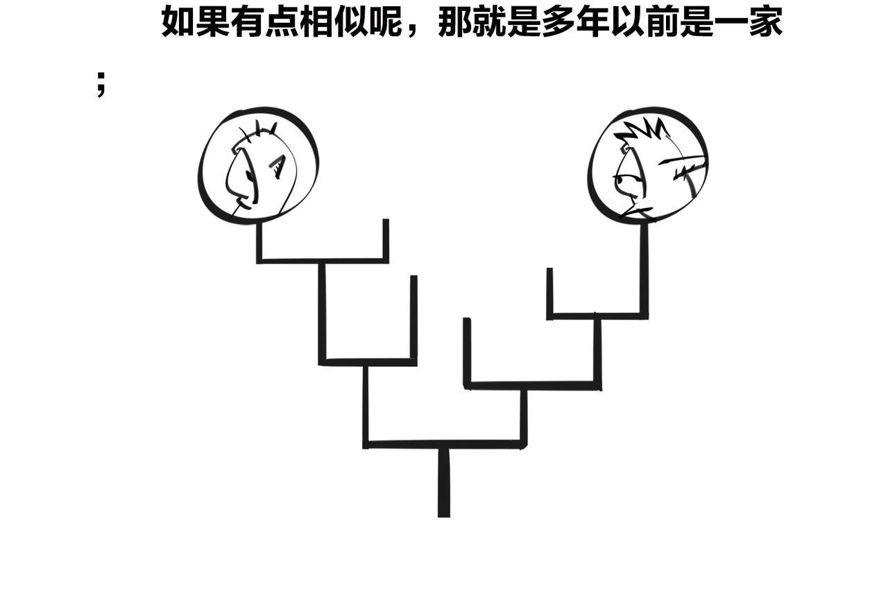 〓进化的套路&mdash;&mdash;生命之树〓(1/2)-第97话