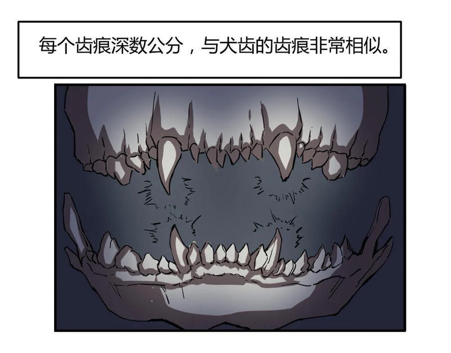第66话-第67话