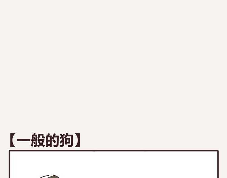 🍧805 第0146话 一般的狗 第1页