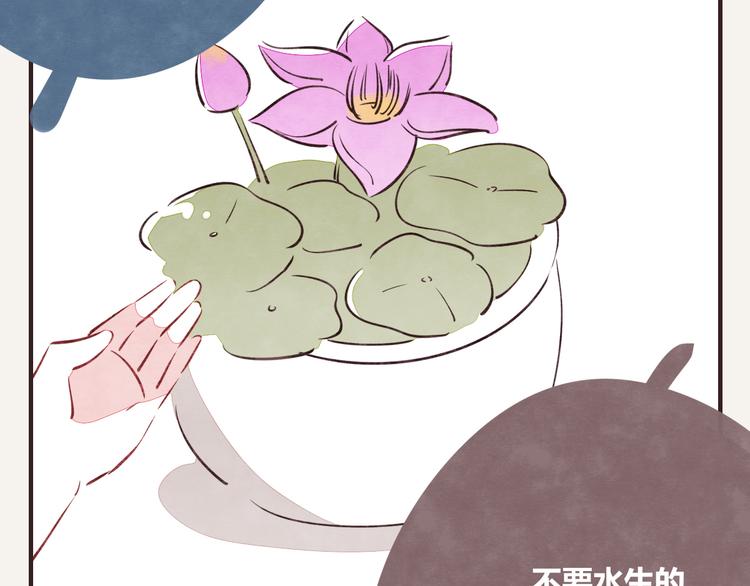 🍧805 第0164话 多肉 第10页