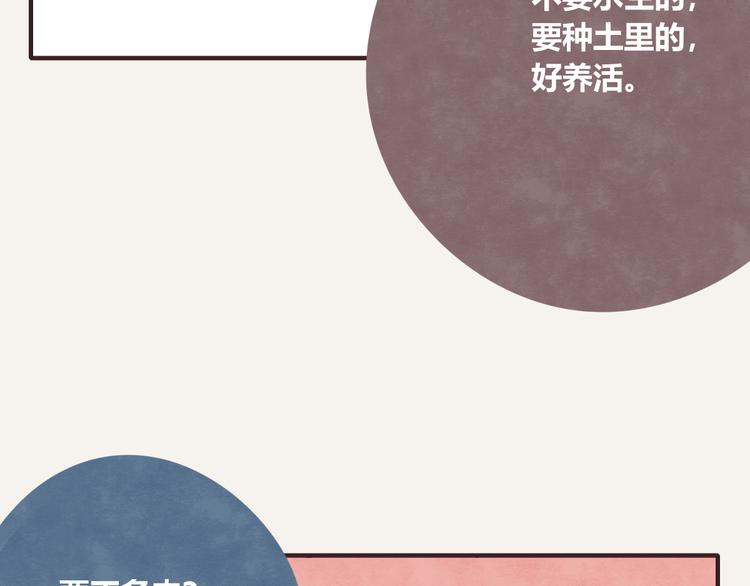 🍧805 第0164话 多肉 第11页