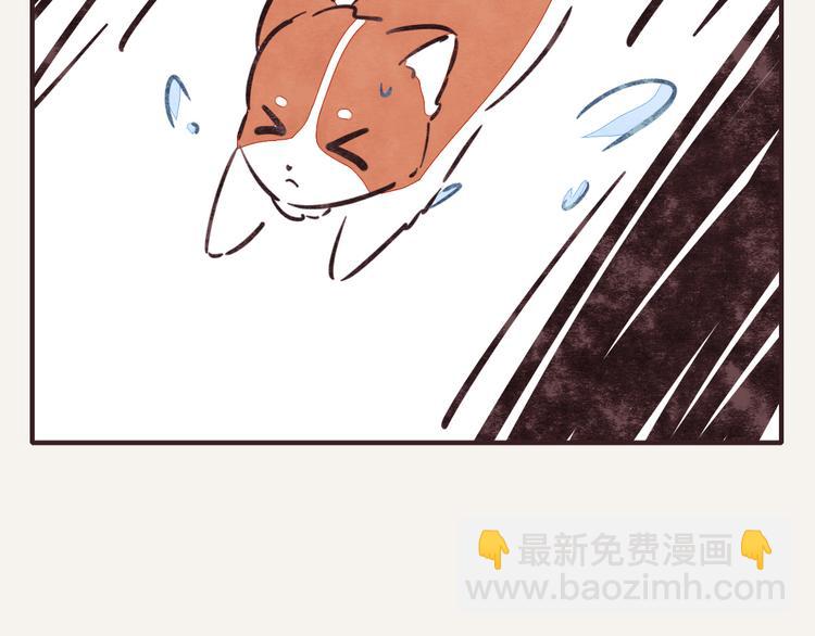 🍧805 第0220话 人生不易 第5页