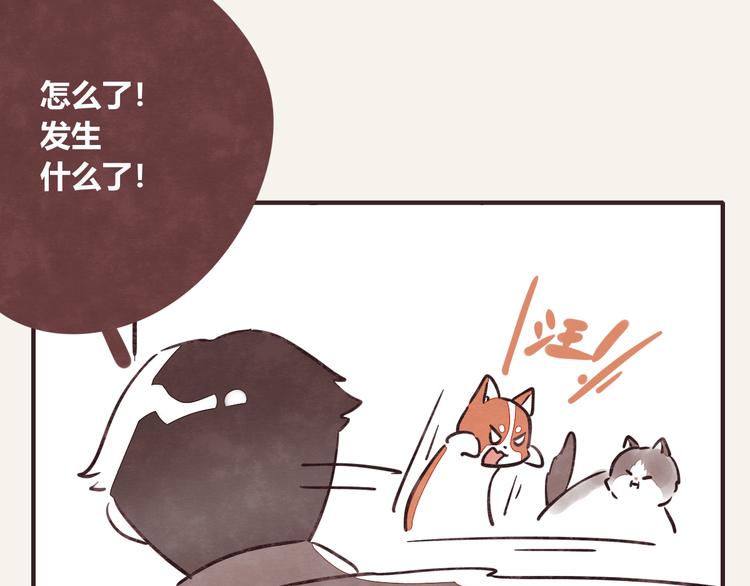 🍧805 第0284话 亲兄妹1 第17页
