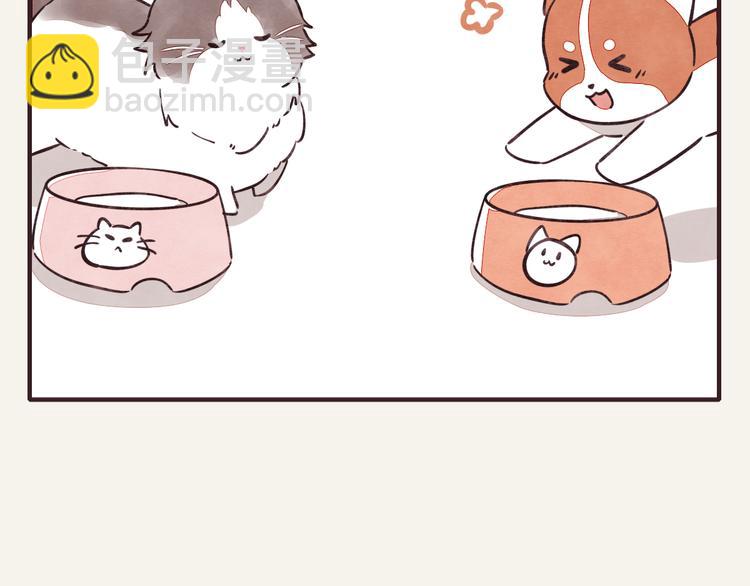 🍧805 第0284话 亲兄妹1 第5页