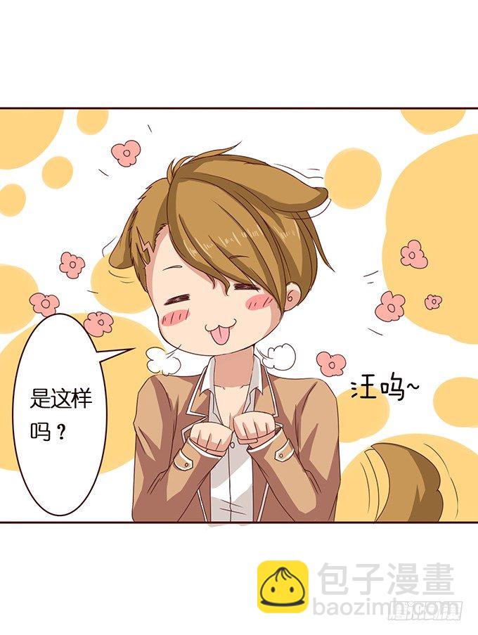 惊险的瞬间(1/2)-第37话