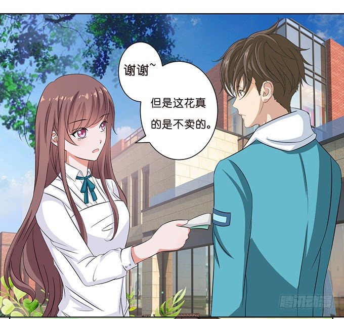 送你的玫瑰(1/2)-第45话