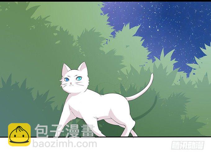猫儿的名字-第47话