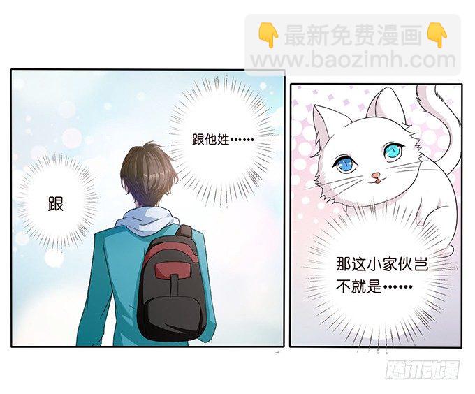 猫儿的名字-第47话