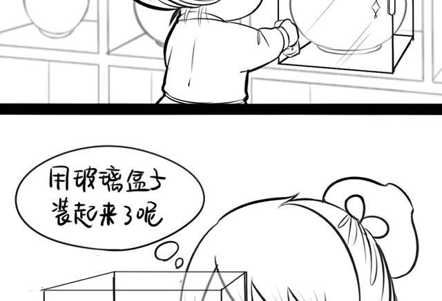 青花瓷番外2(1/2)-第21话
