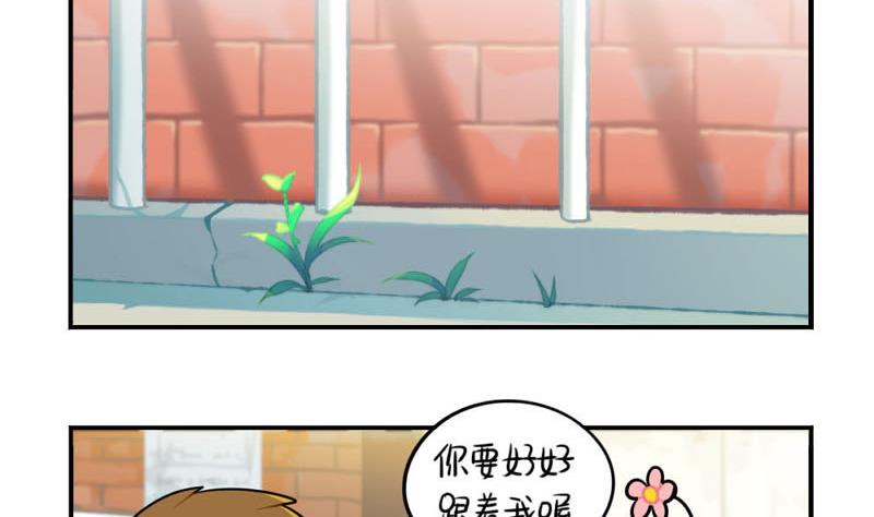 四周年(1/2)-第51话