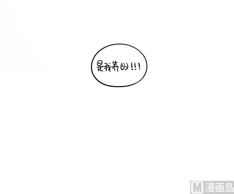 2018圣诞节-第55话