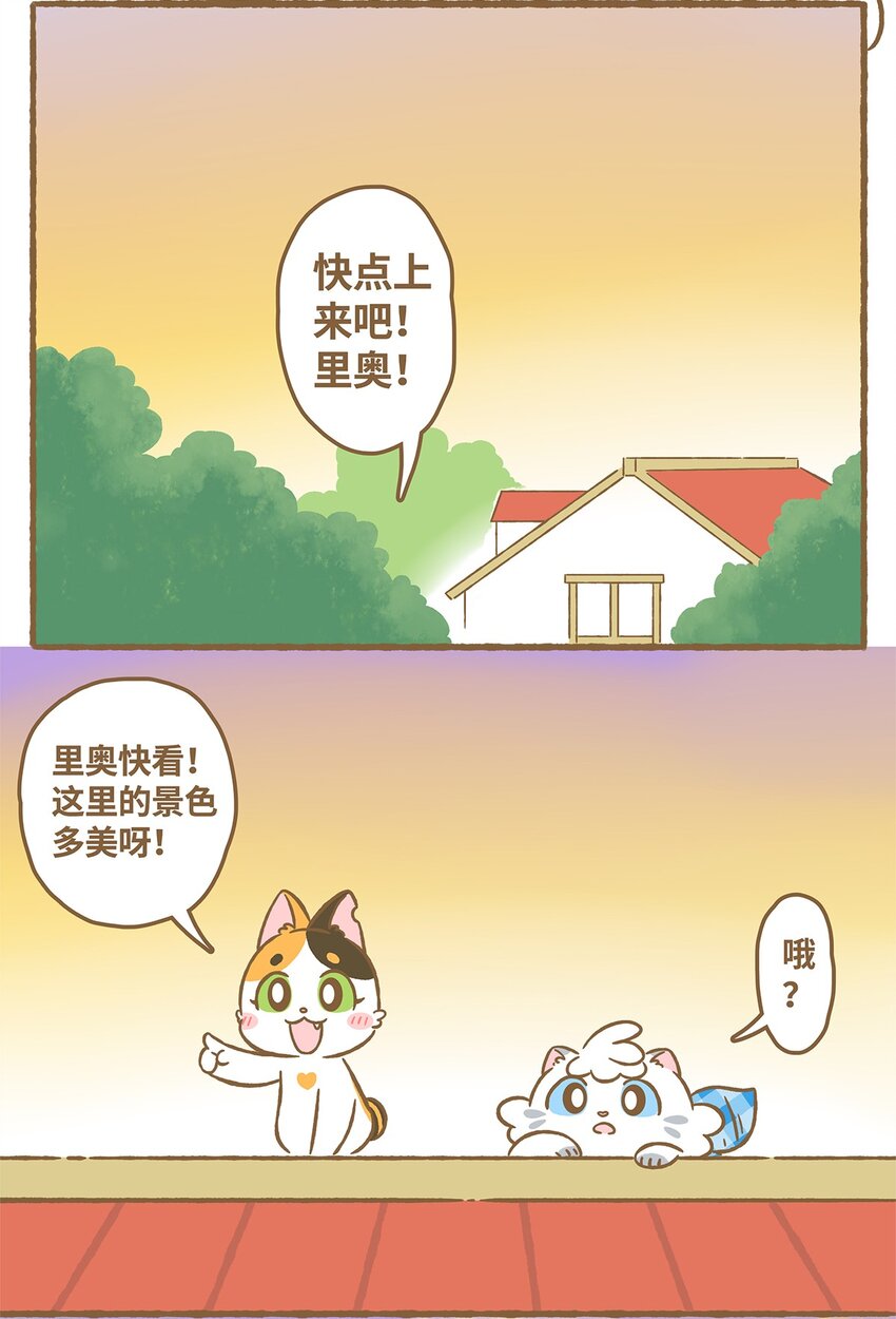 17 第17话-第17话