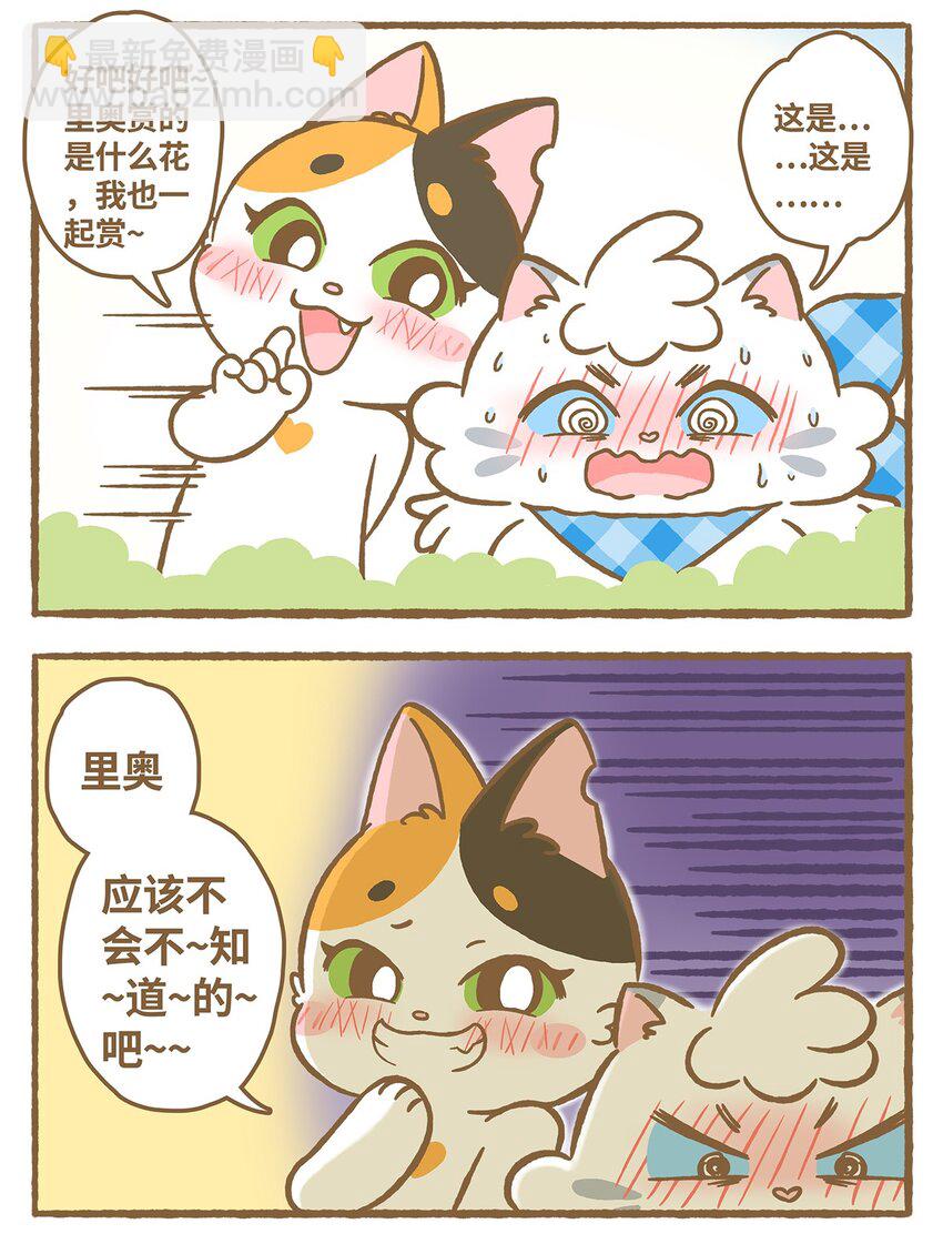 25 第25话-第25话