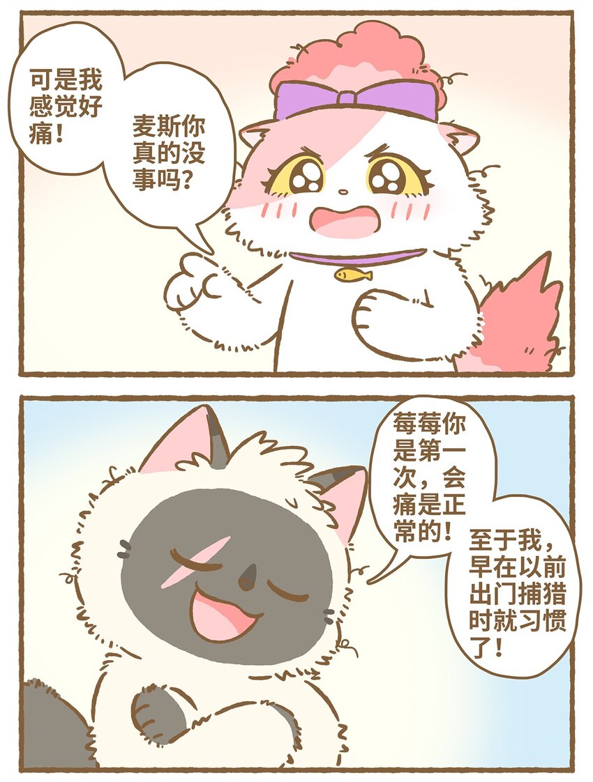 31 第31话-第31话