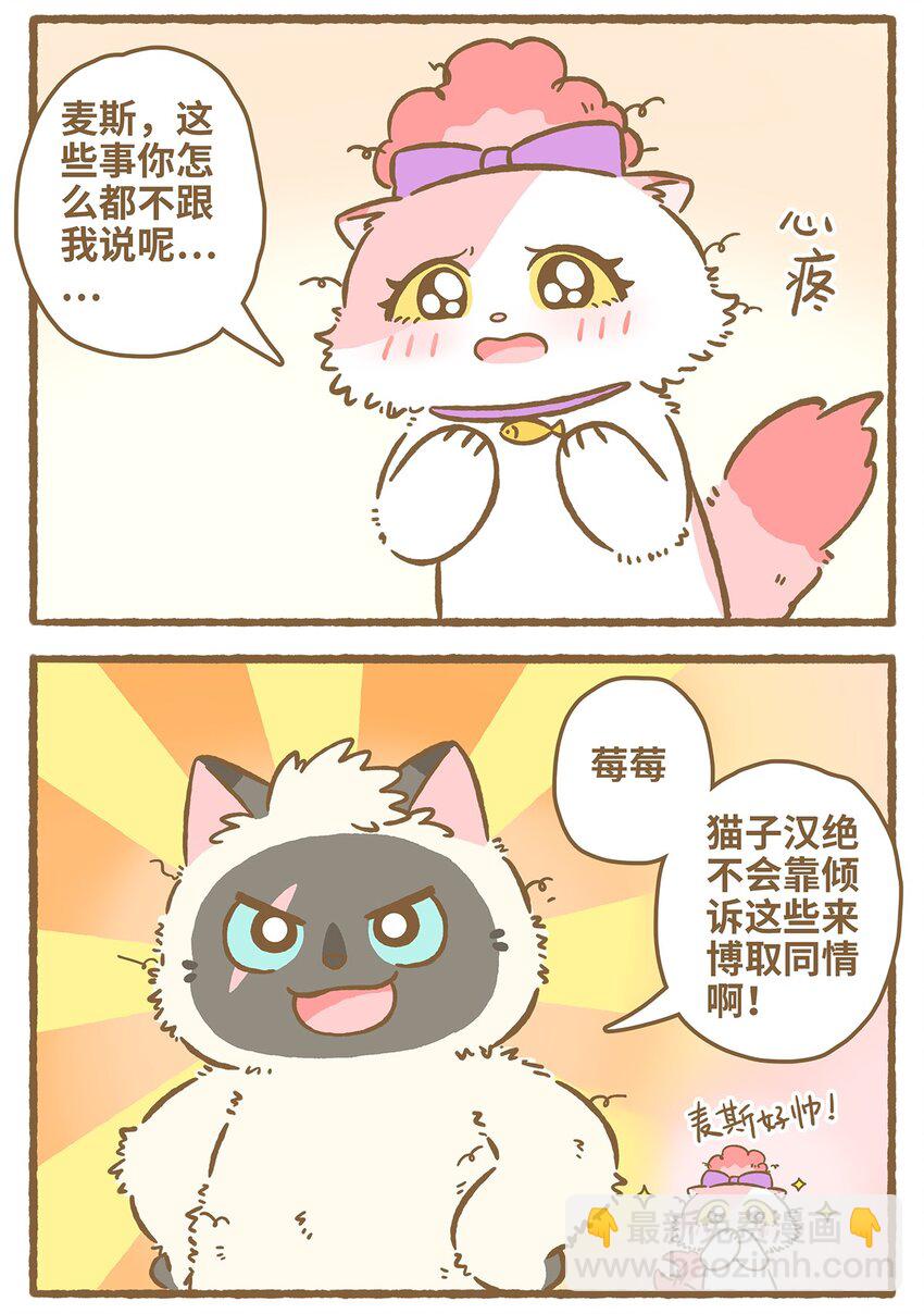 31 第31话-第31话
