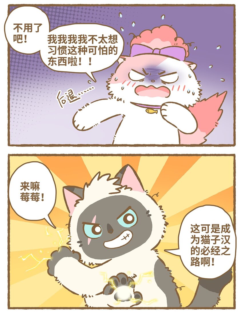 31 第31话-第31话