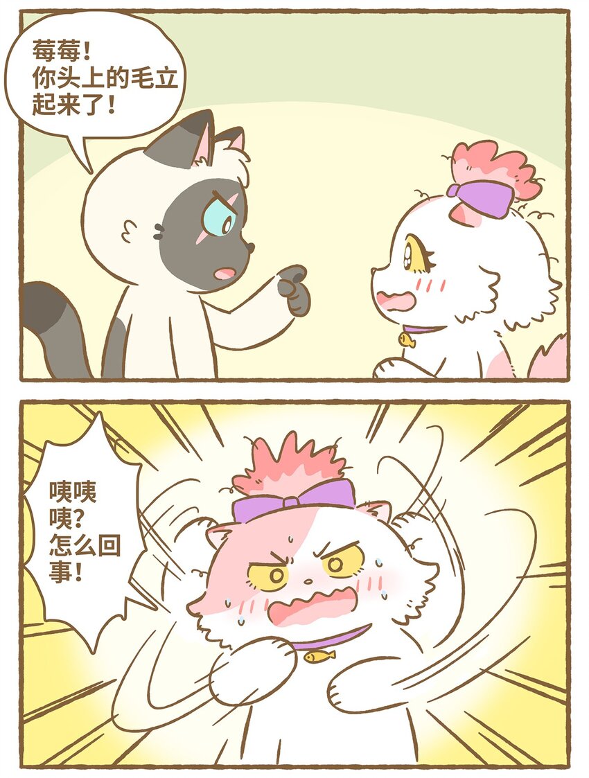 31 第31话-第31话