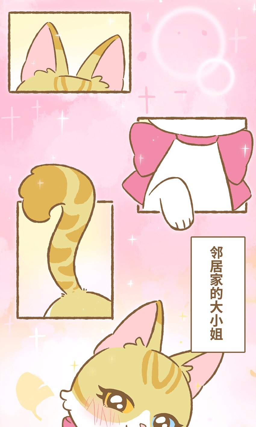 41 第41话 里奥的新朋友-第41话