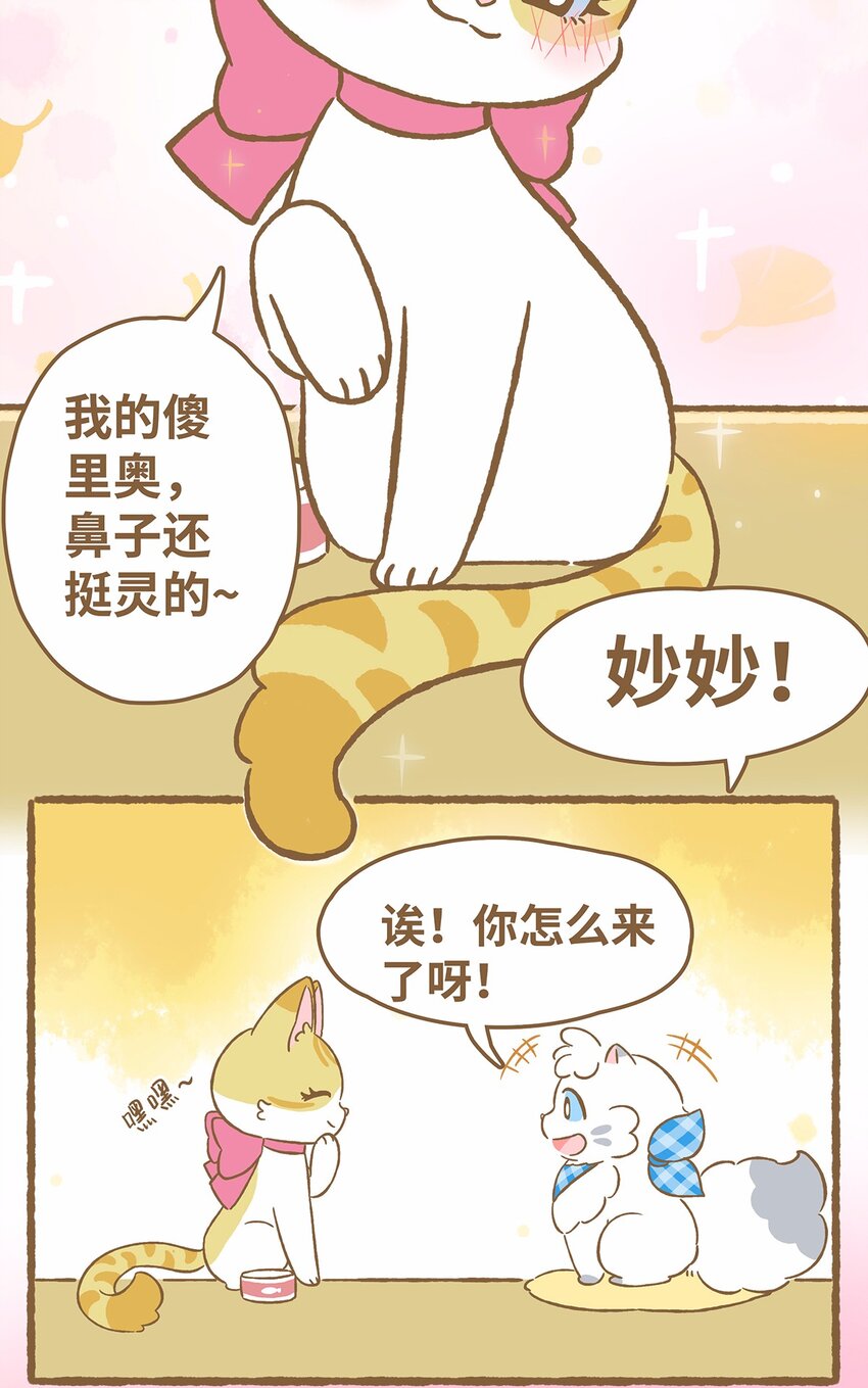 41 第41话 里奥的新朋友-第41话