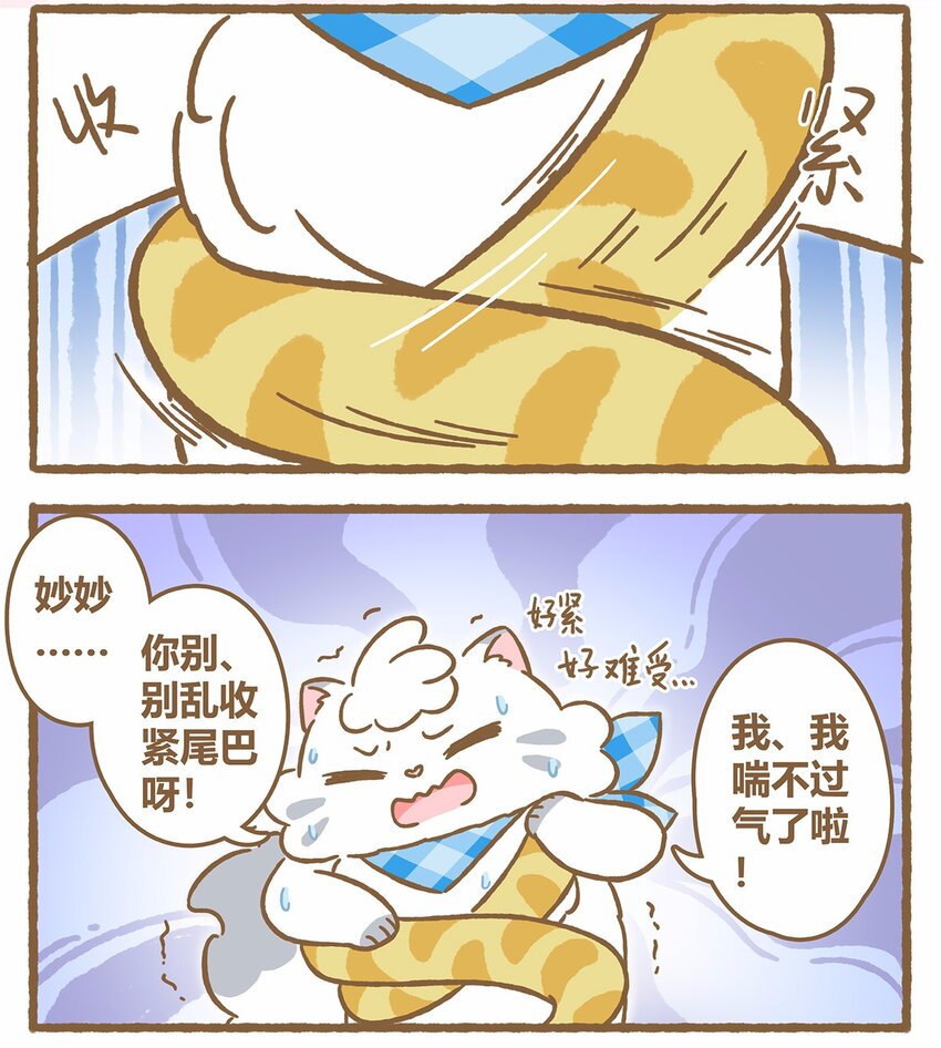 43 第43话 她的尾巴-第43话
