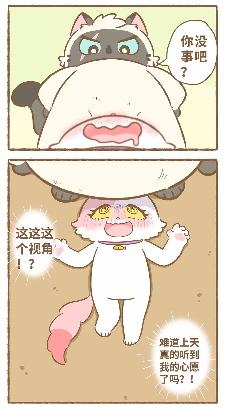 45 第45话 摔跤-第45话