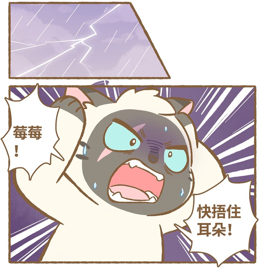 49 第49话 闪电-第49话