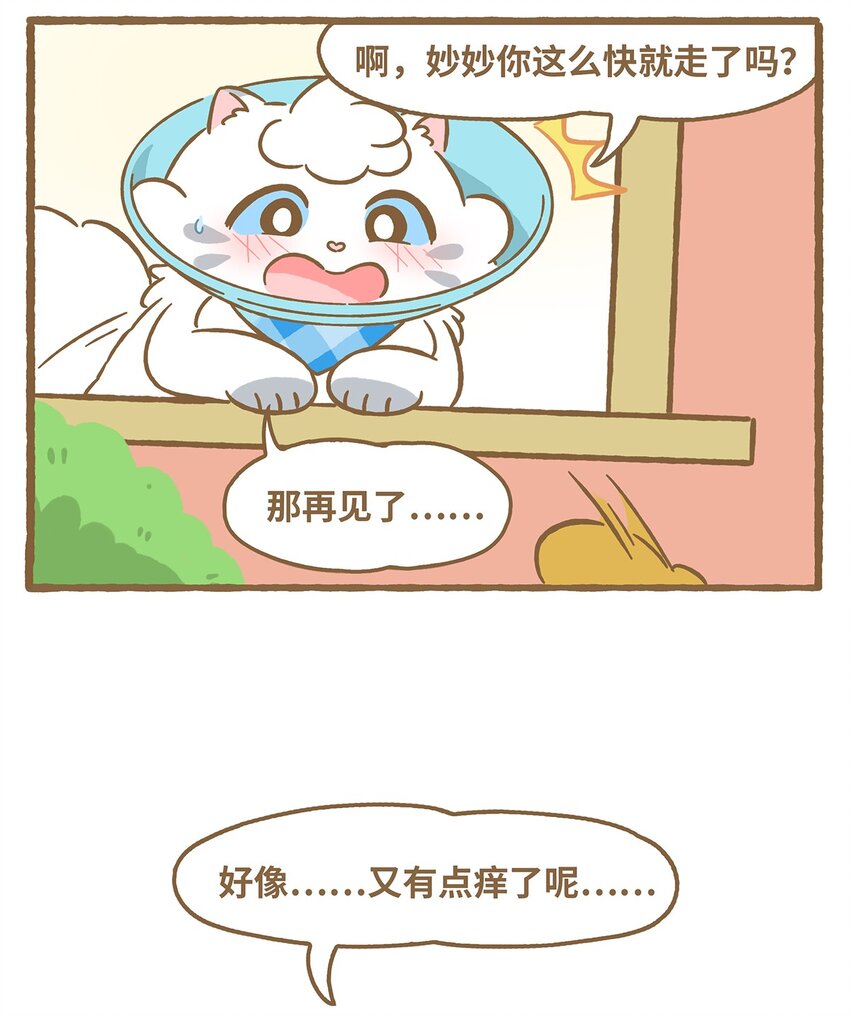 53 第53话 挠痒痒-第53话