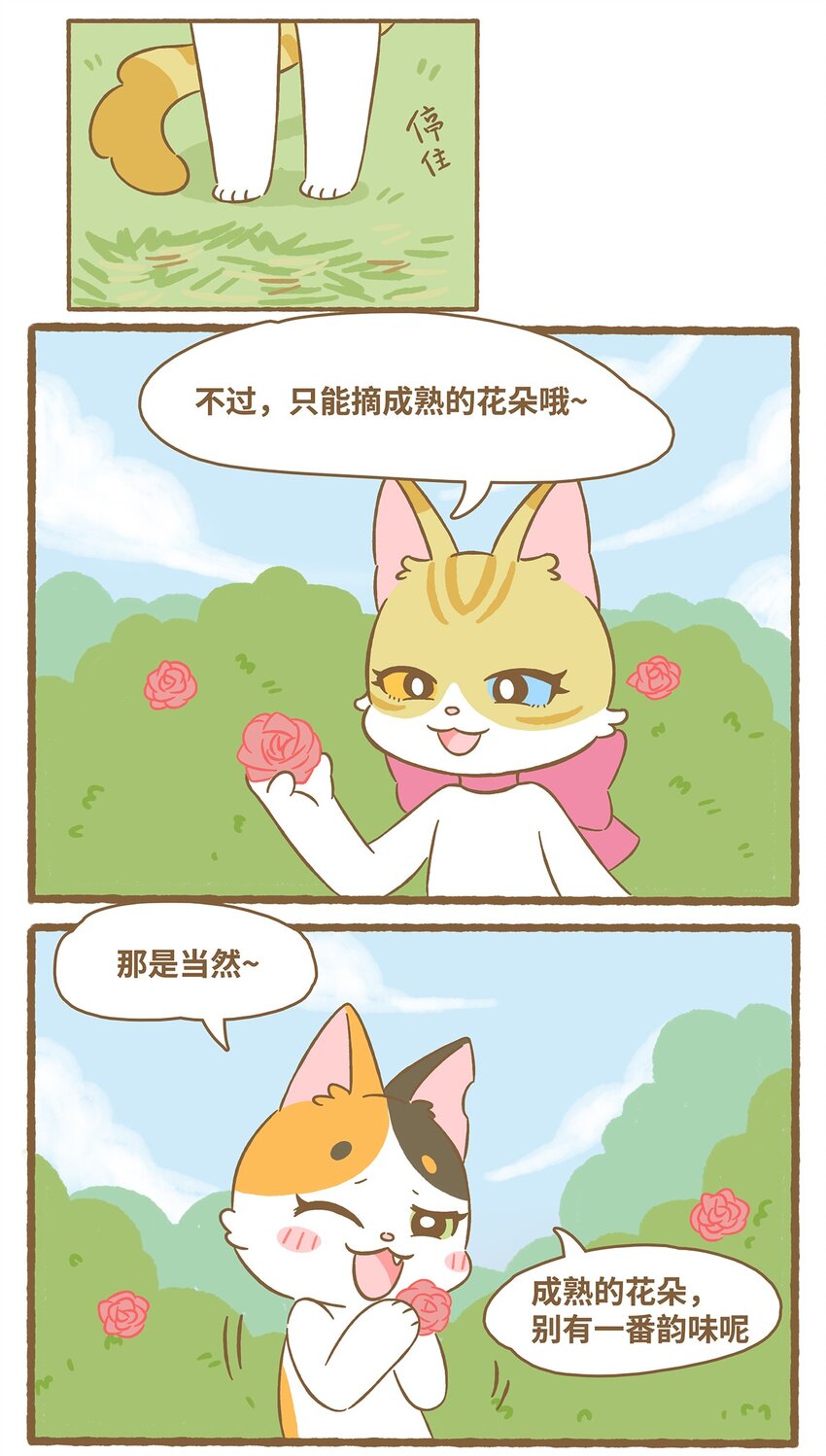 61 第61话 陷阱-第61话