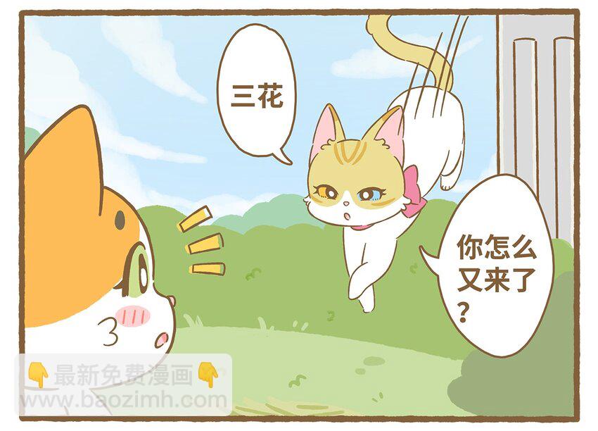 61 第61话 陷阱-第61话