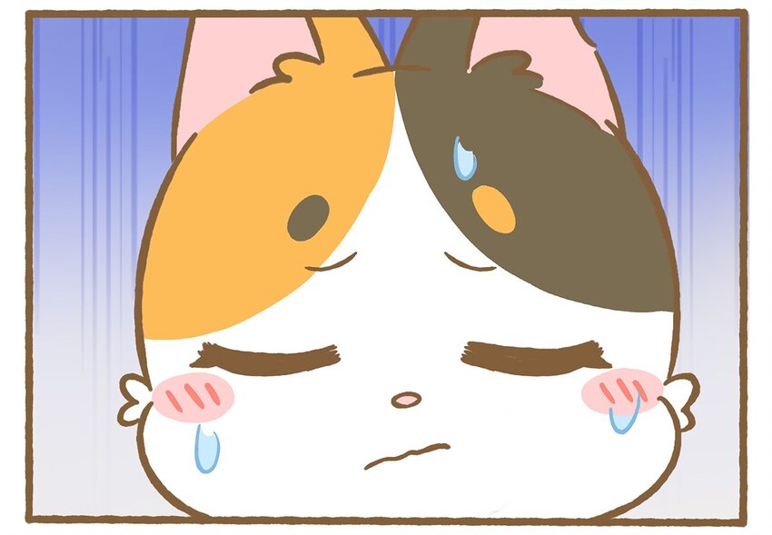 61 第61话 陷阱-第61话
