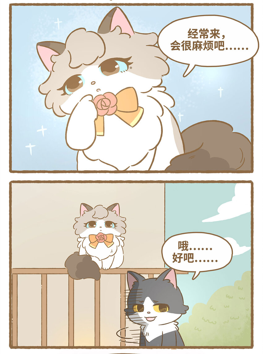 69 第69话 喜欢的猫？-第69话