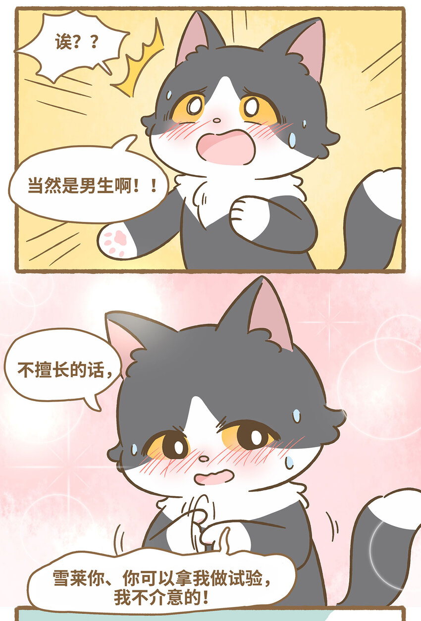 69 第69话 喜欢的猫？-第69话