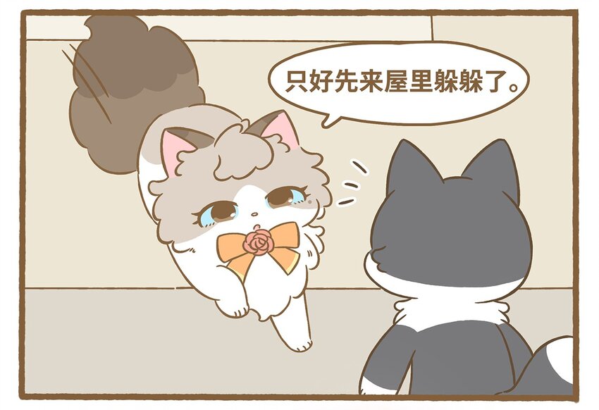 71 第71话 刮大风了！-第71话