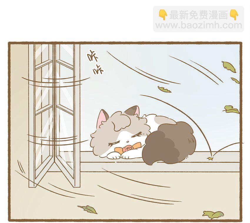 71 第71话 刮大风了！-第71话