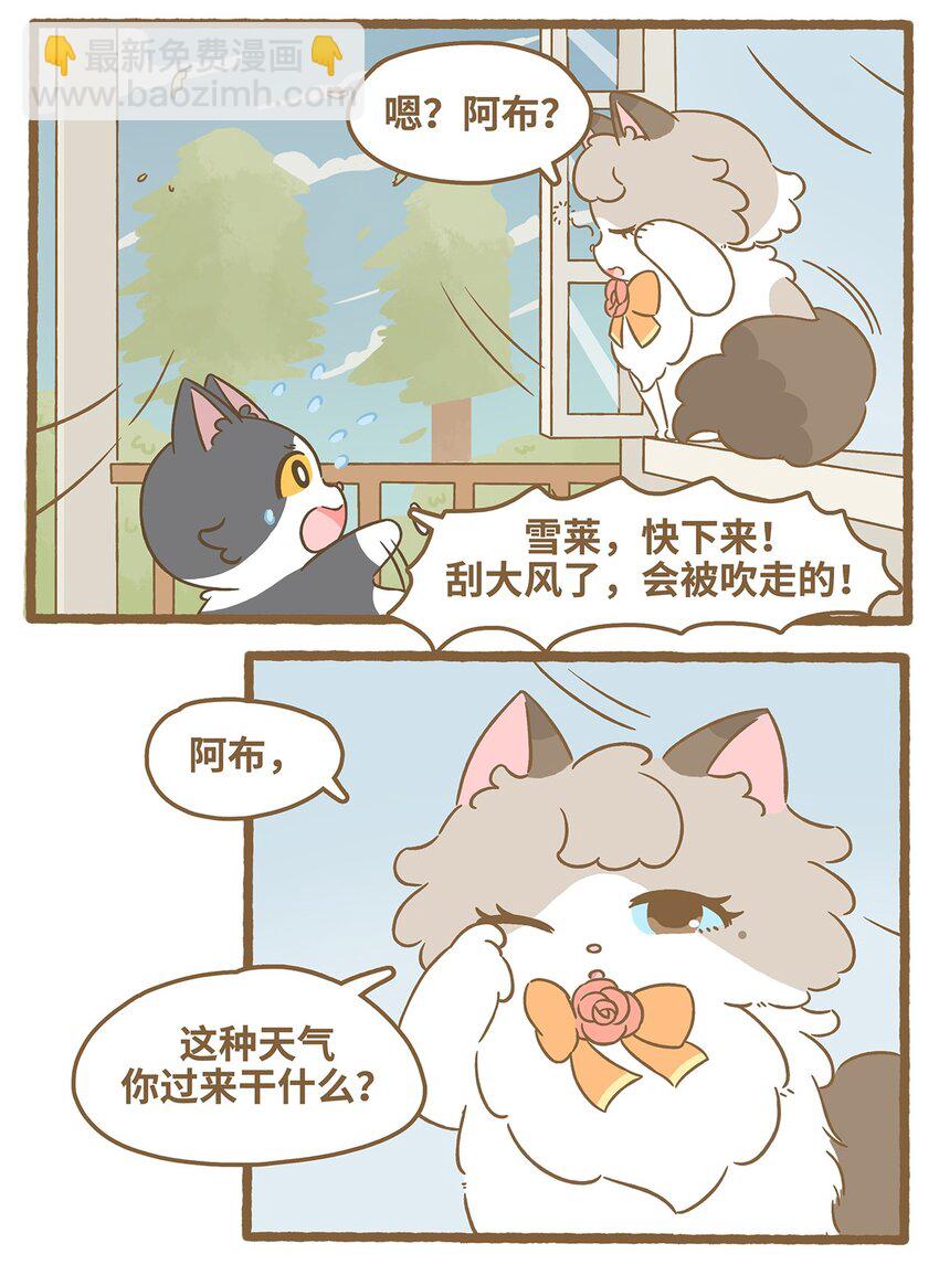 71 第71话 刮大风了！-第71话