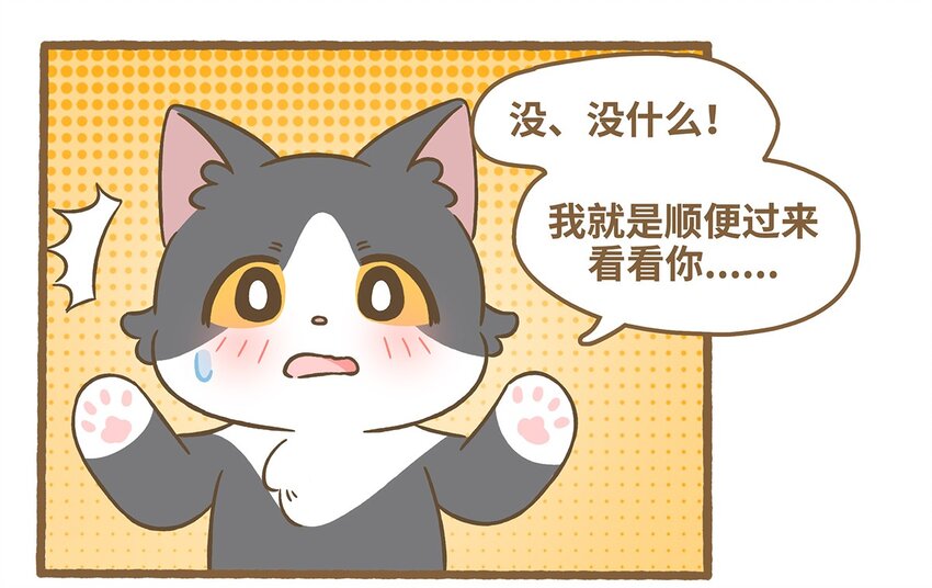 71 第71话 刮大风了！-第71话
