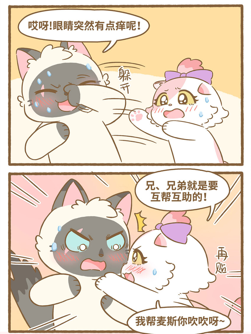 79 第79话 兄弟间的喜欢-第79话