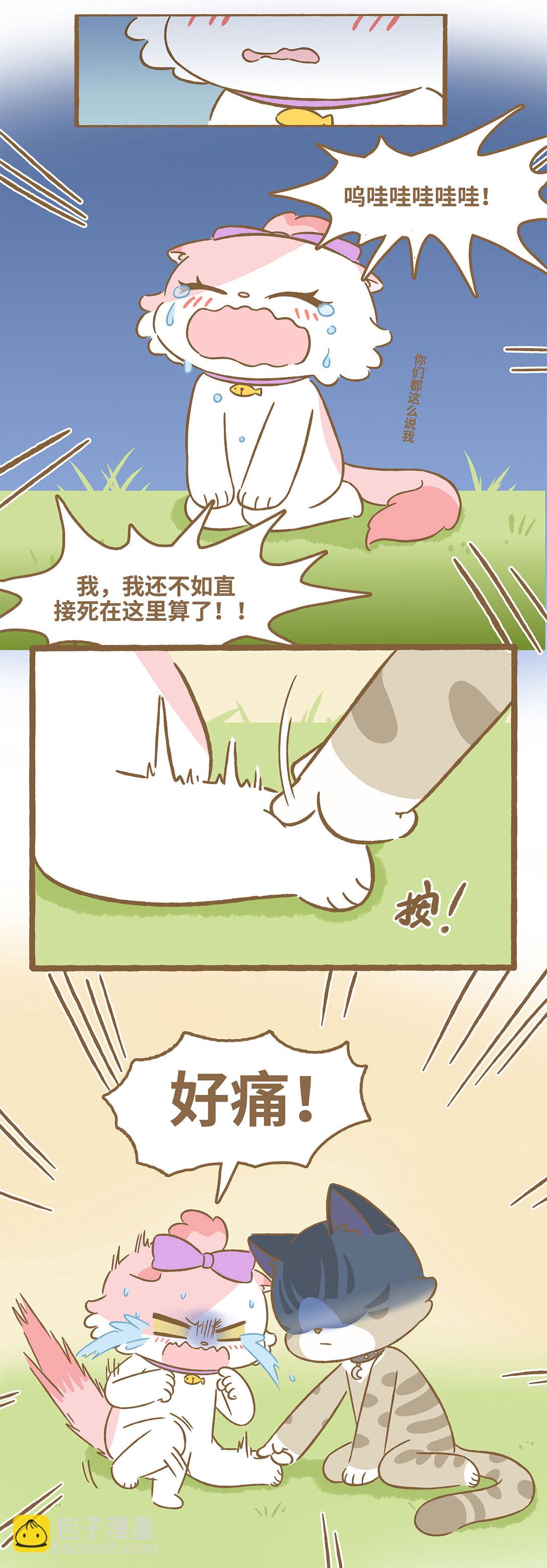 113 跟着她-第111话