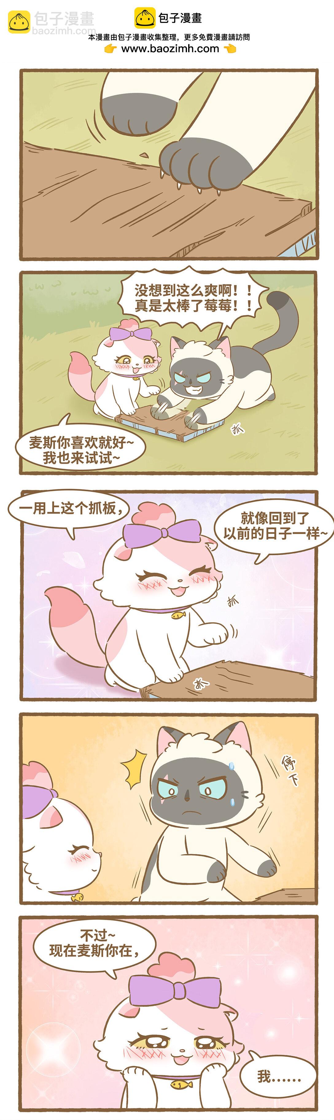97 第97话 猫抓板-第97话