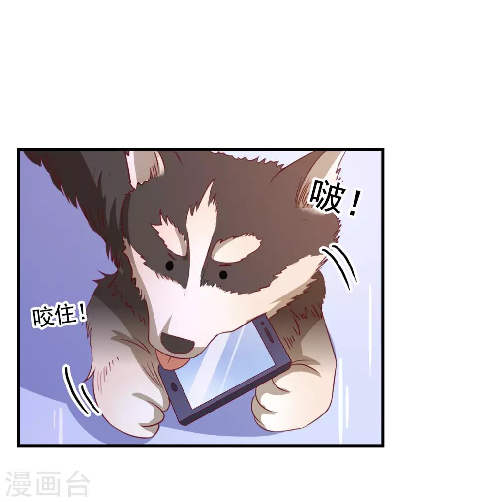第100话 丢失的手机-第103话