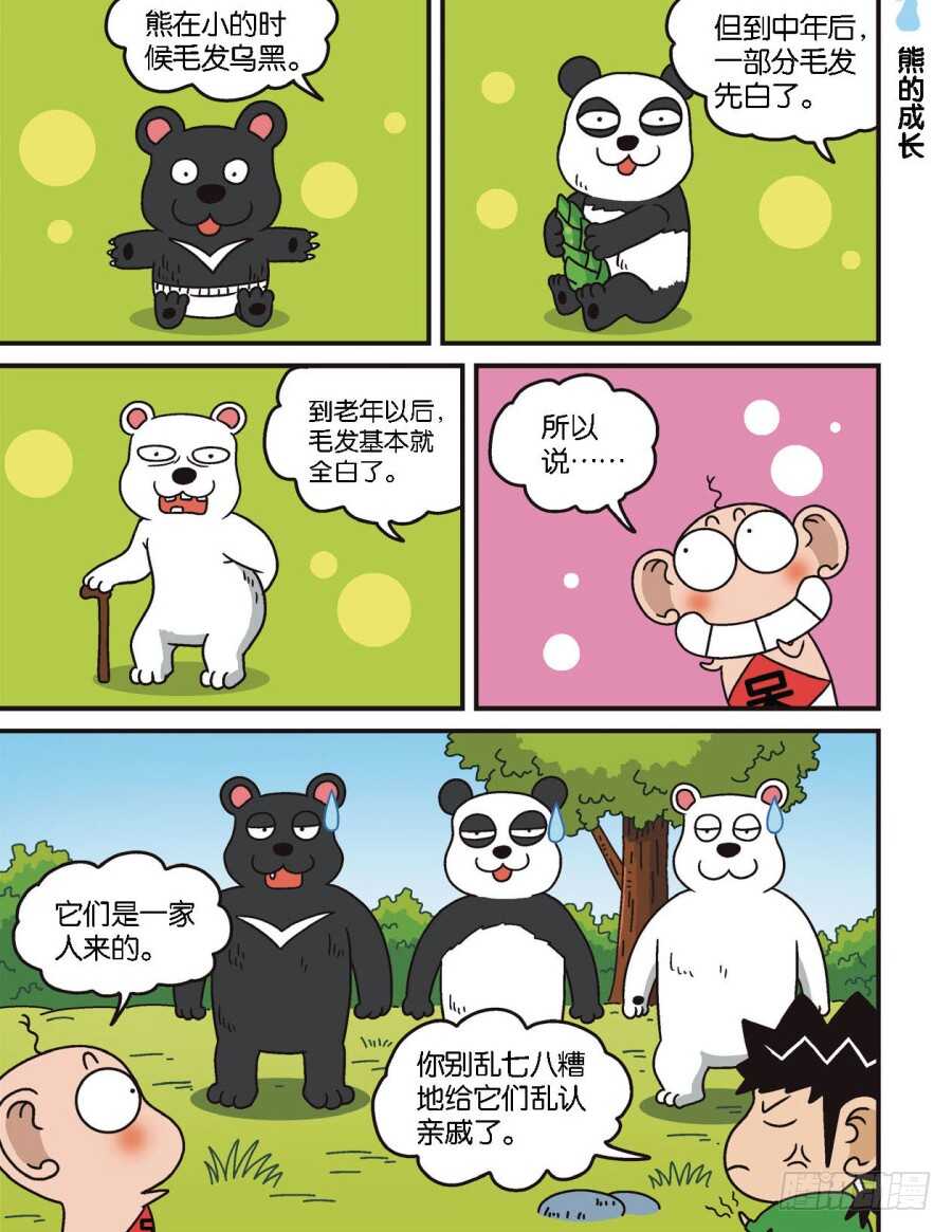 第103回-第113话