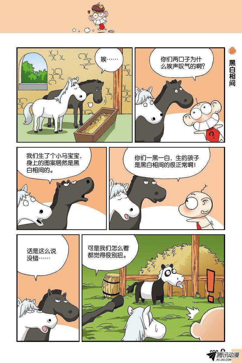 第31回-第41话