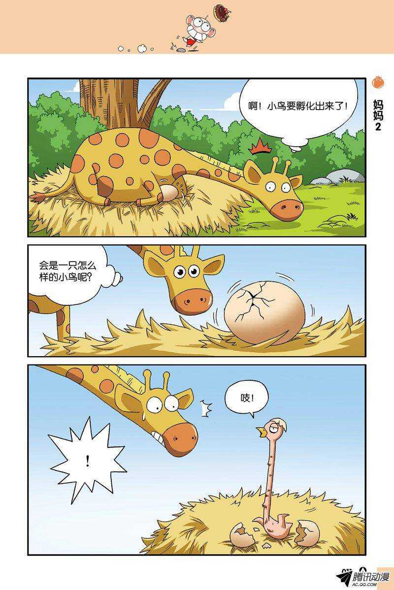 第31回-第41话