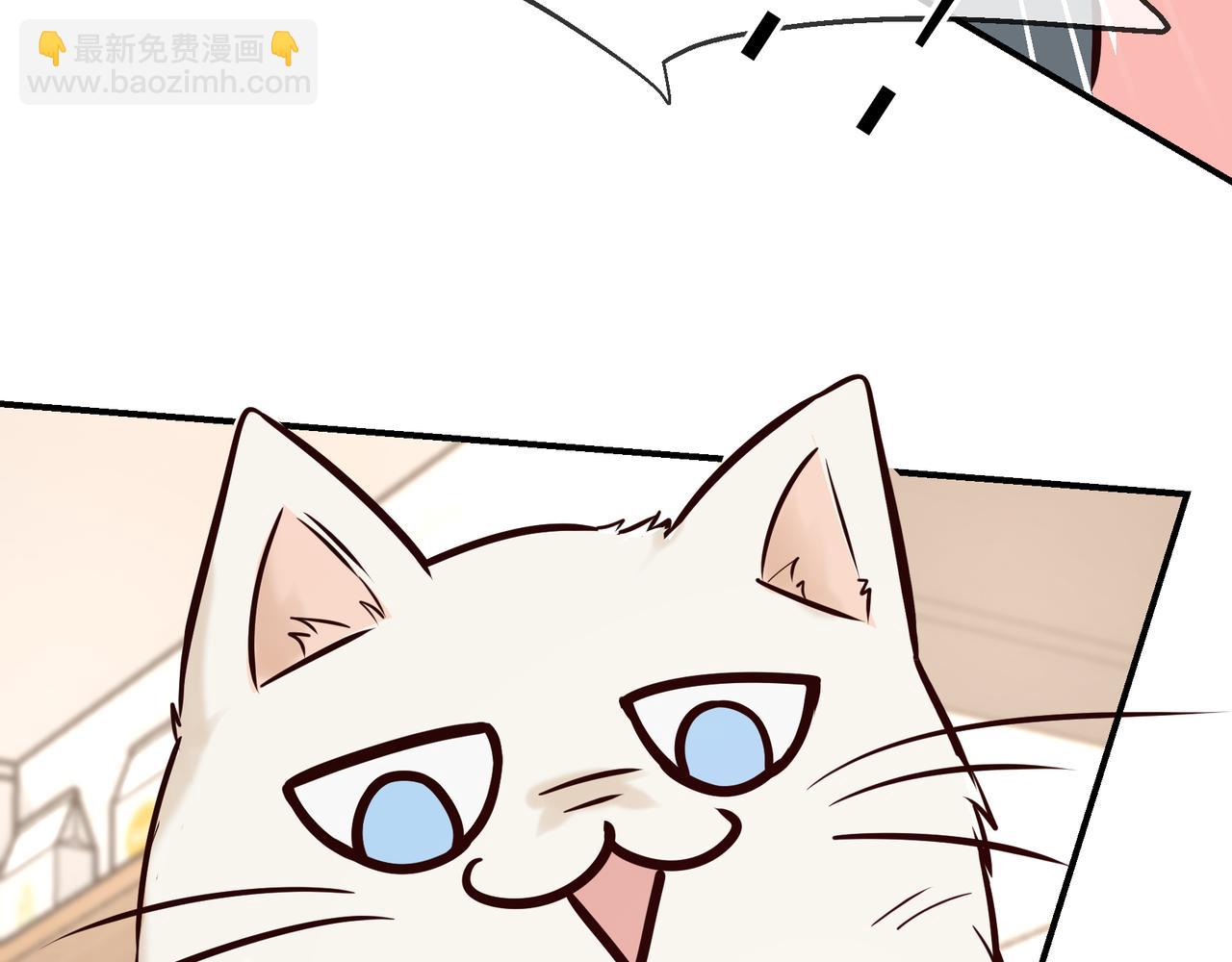 Q版小剧场 荆变猫猫的一天-第45话