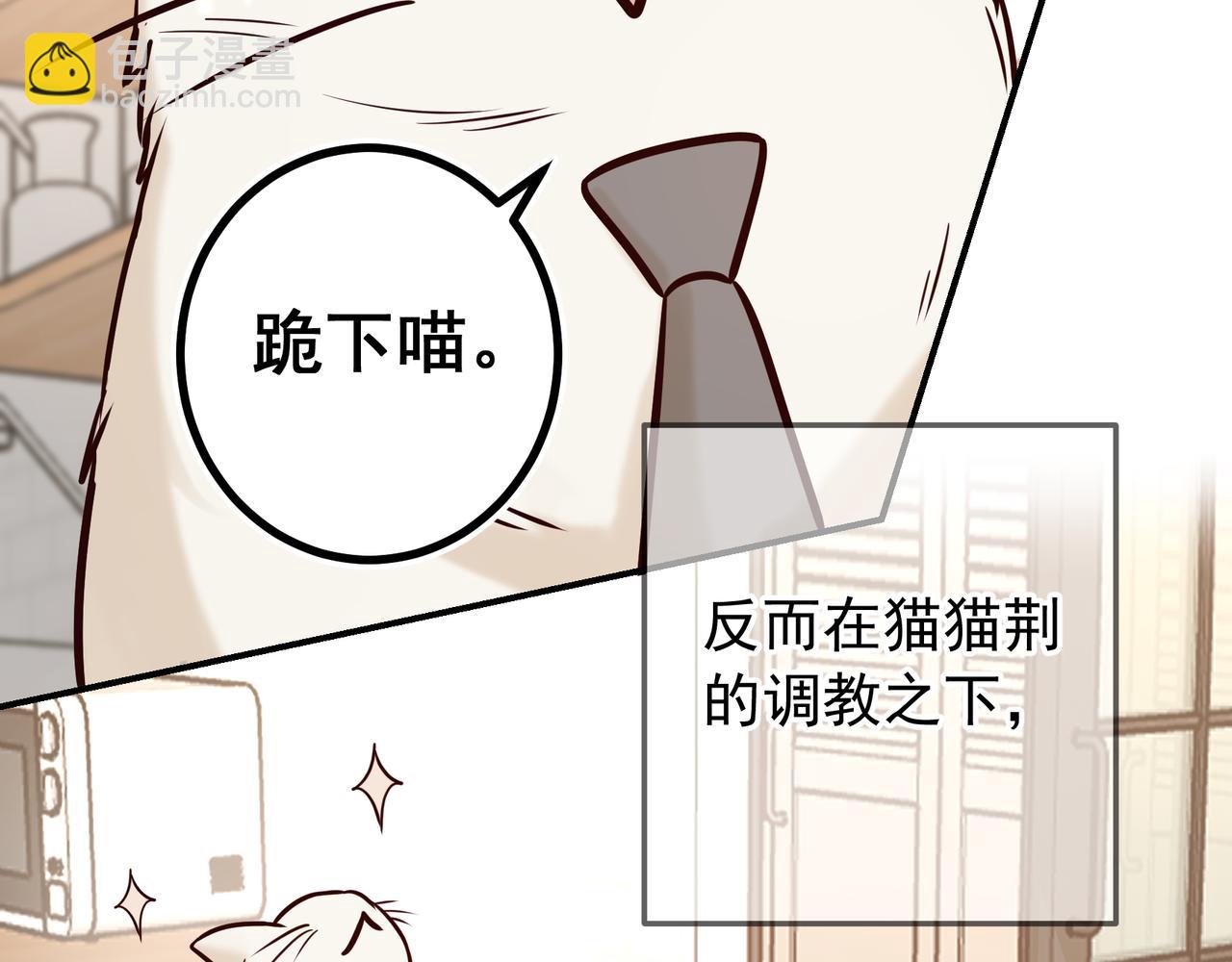Q版小剧场 荆变猫猫的一天-第45话