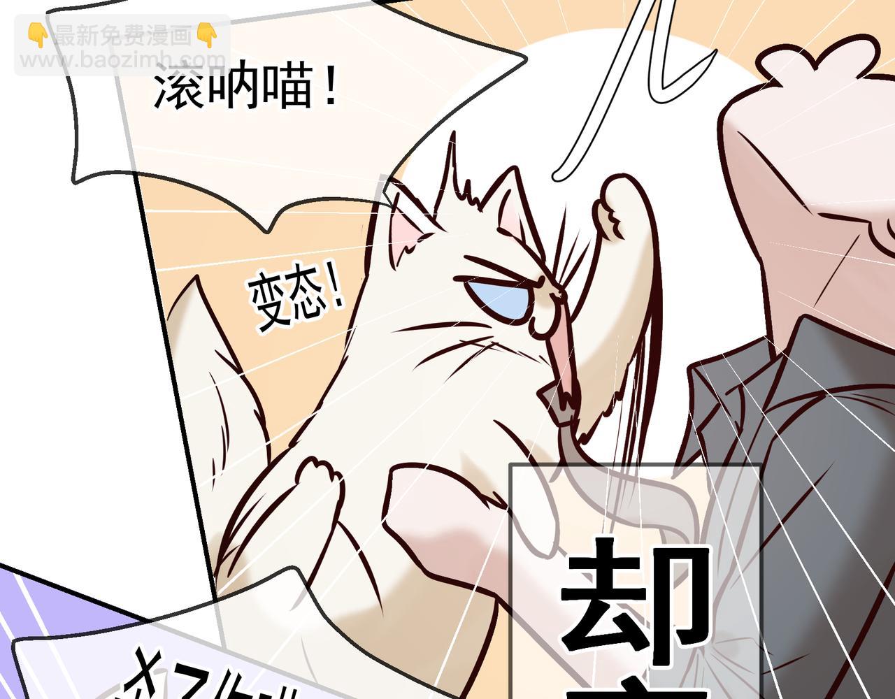 Q版小剧场 荆变猫猫的一天-第45话