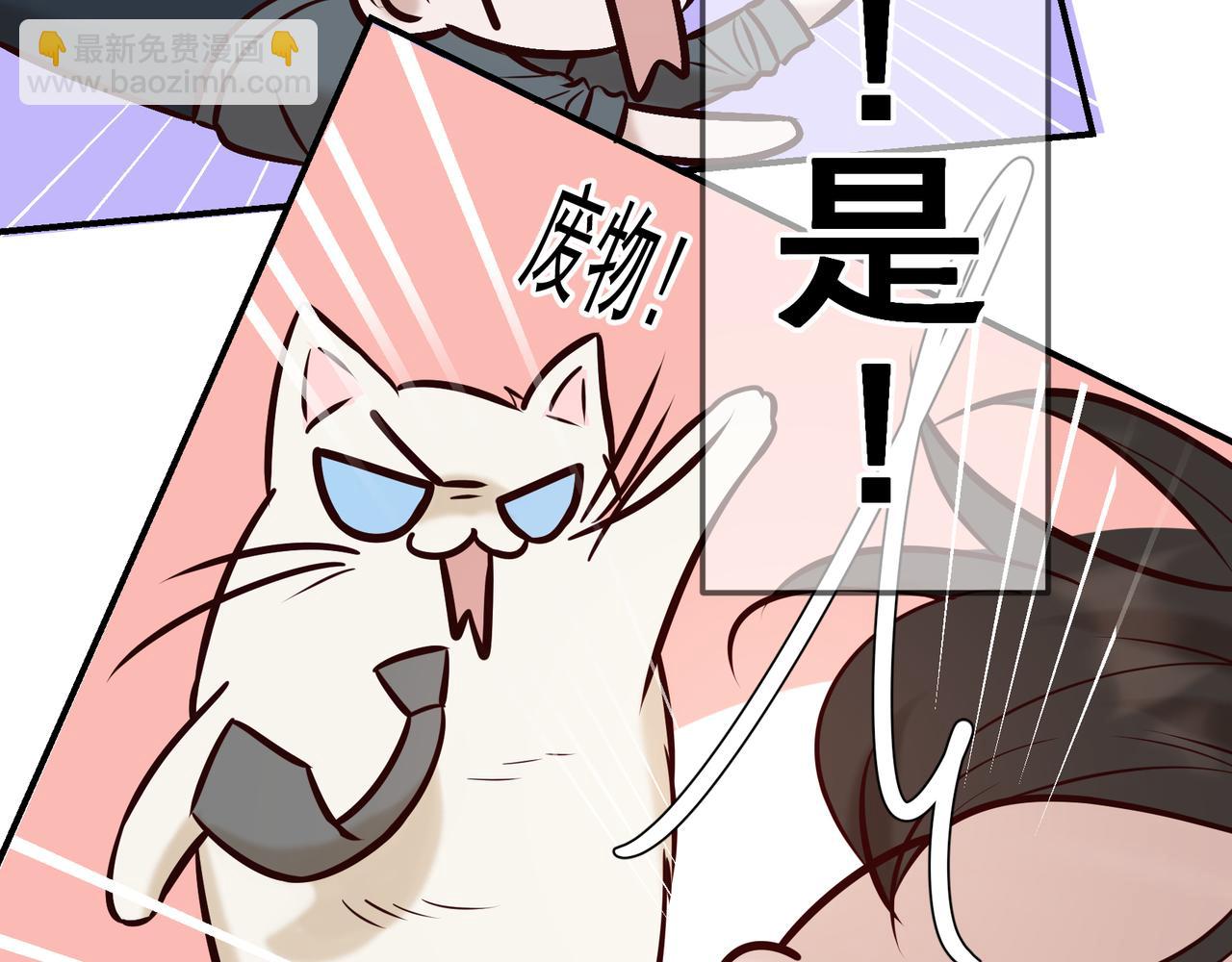 Q版小剧场 荆变猫猫的一天-第45话